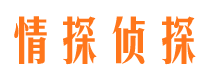 清丰市调查公司